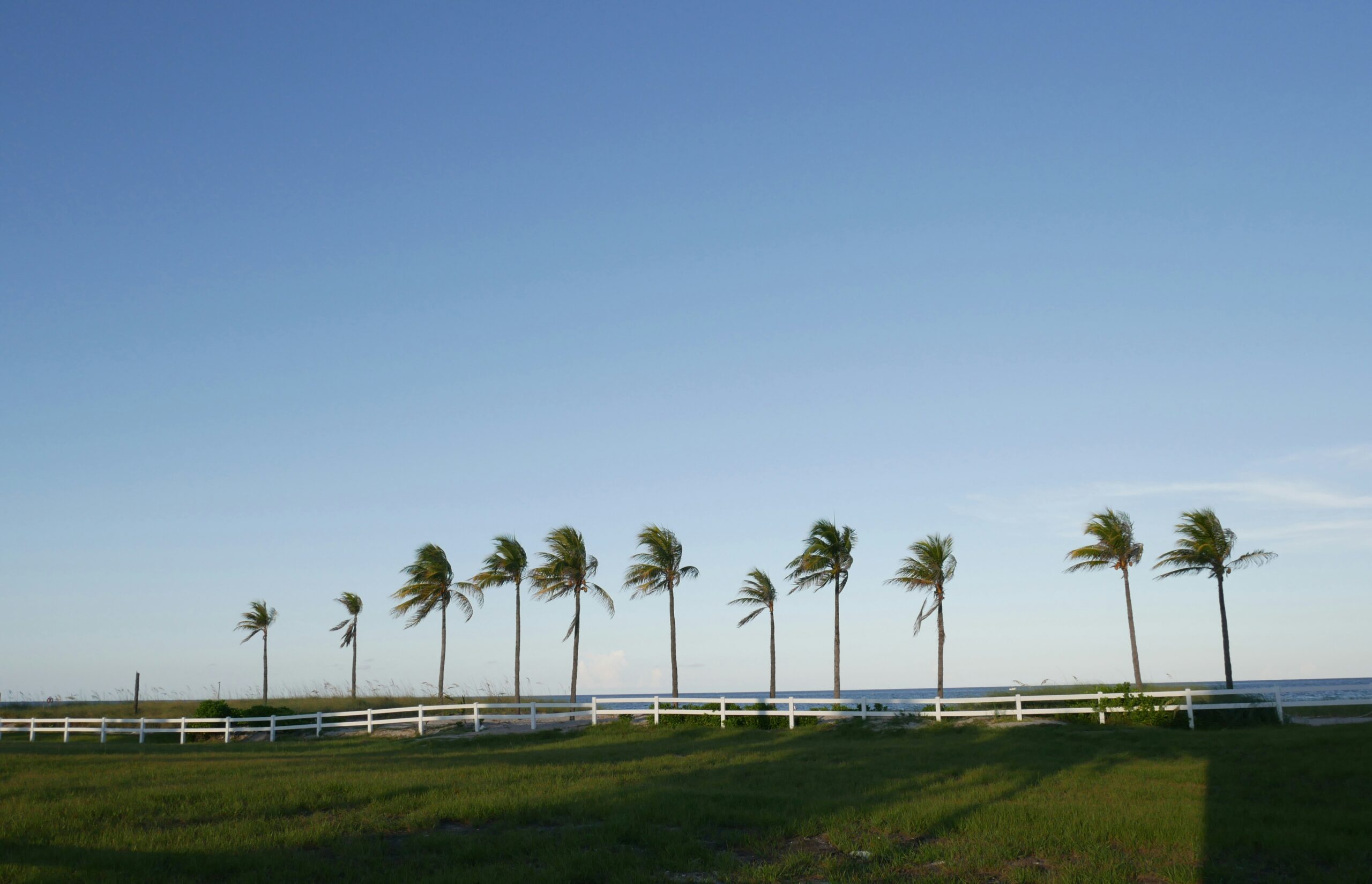 Verano